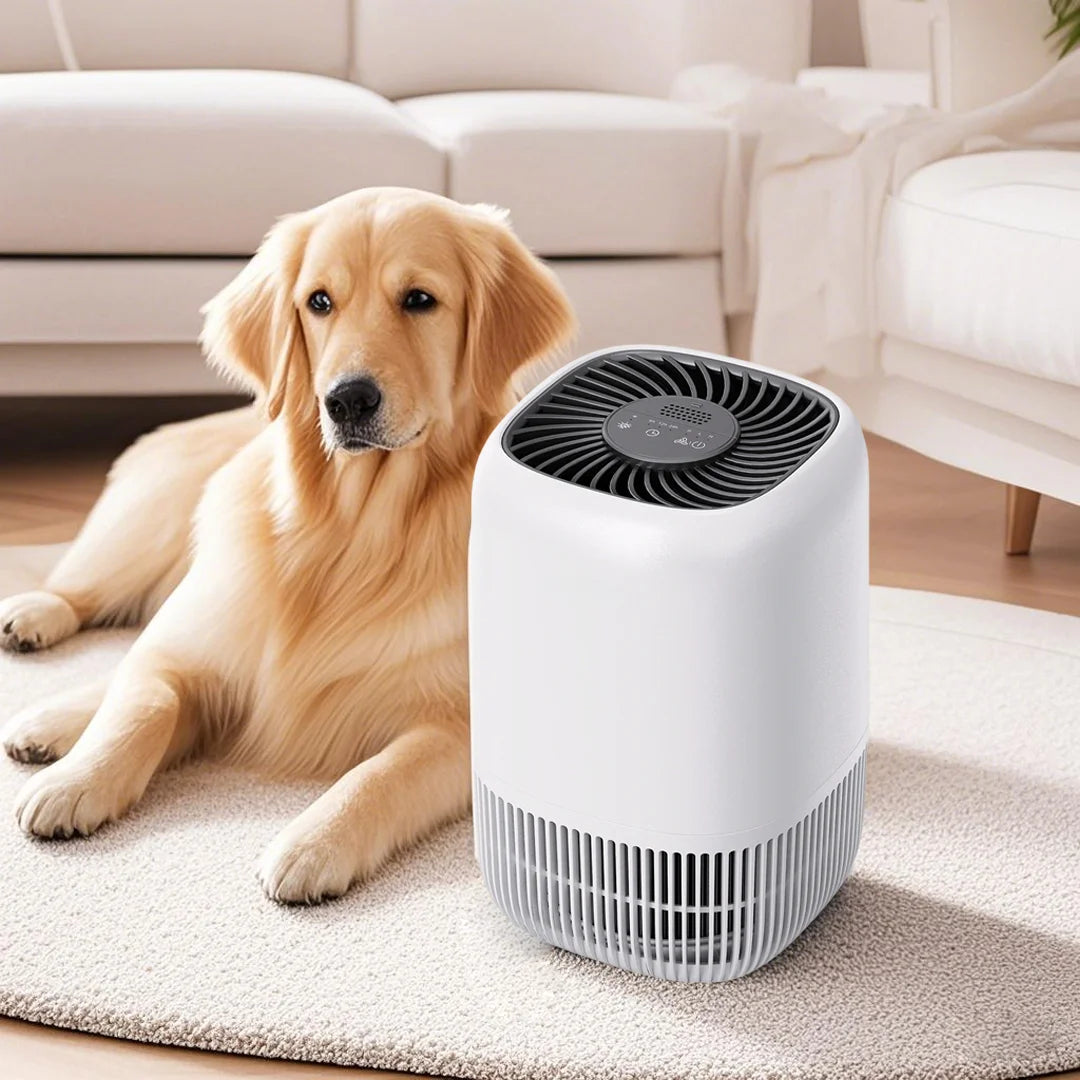  Filter Cleaner for home