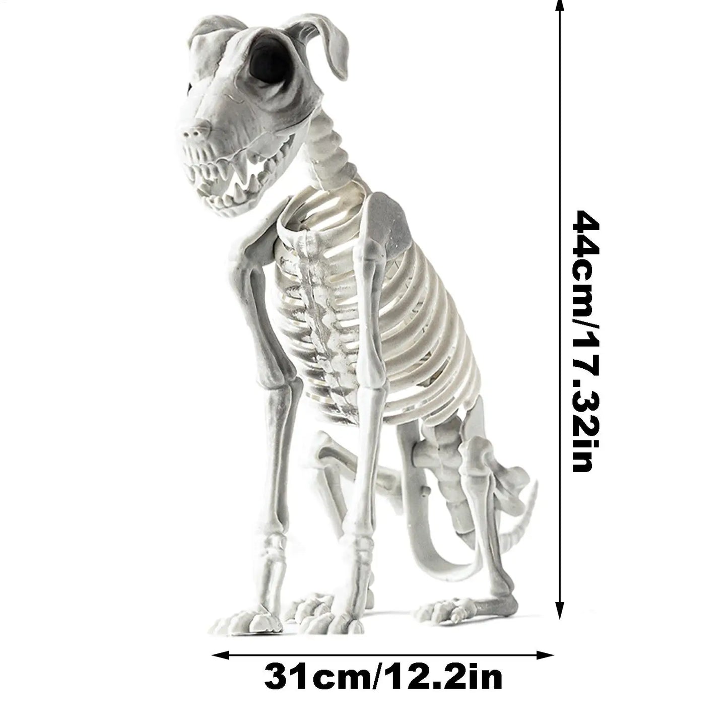 Realistic Skeleton Animals dimentions