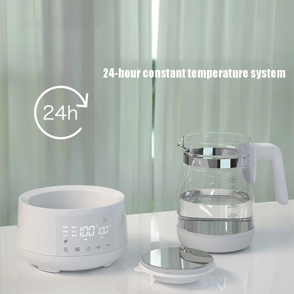 Electric Kettle with Thermostatic Control 