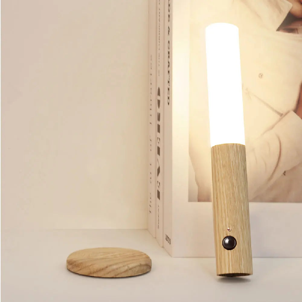  LED Wall Lamp 